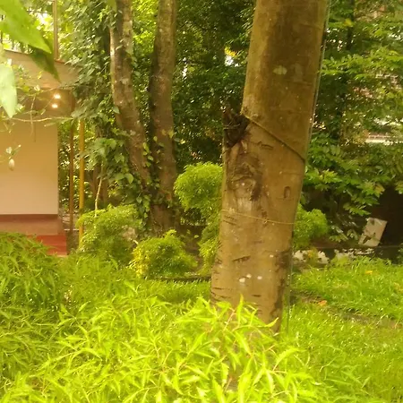 Marari Beach Pearl Homestay Mararikulam Exterior photo