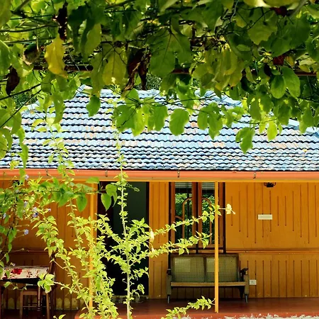 Marari Beach Pearl Homestay Mararikulam Exterior photo