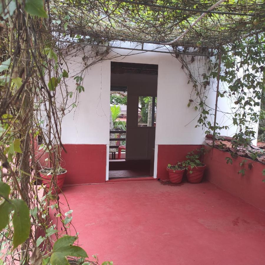 Marari Pearl Homestay Mararikulam